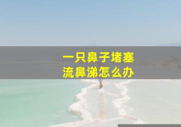 一只鼻子堵塞流鼻涕怎么办