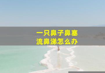 一只鼻子鼻塞流鼻涕怎么办