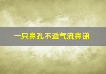 一只鼻孔不透气流鼻涕