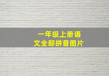 一年级上册语文全部拼音图片