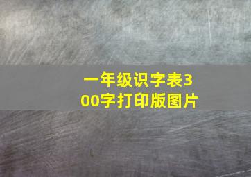 一年级识字表300字打印版图片