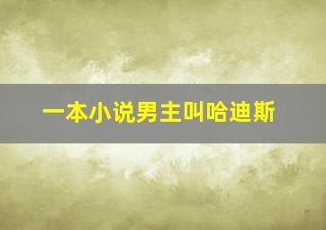 一本小说男主叫哈迪斯