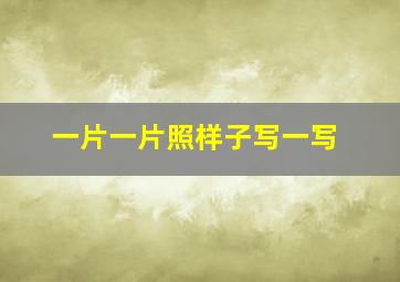 一片一片照样子写一写