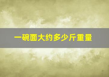 一碗面大约多少斤重量