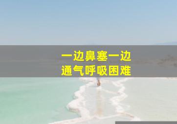 一边鼻塞一边通气呼吸困难