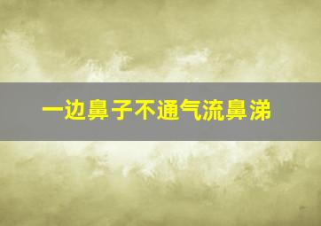 一边鼻子不通气流鼻涕