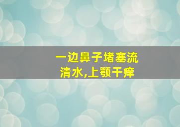 一边鼻子堵塞流清水,上颚干痒