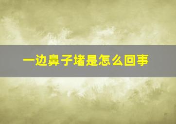 一边鼻子堵是怎么回事