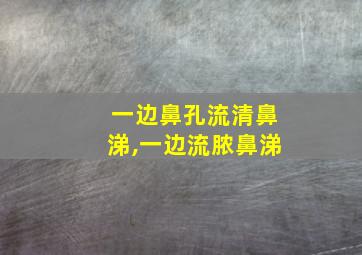 一边鼻孔流清鼻涕,一边流脓鼻涕