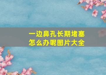 一边鼻孔长期堵塞怎么办呢图片大全