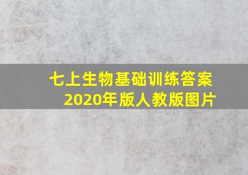 七上生物基础训练答案2020年版人教版图片