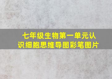 七年级生物第一单元认识细胞思维导图彩笔图片