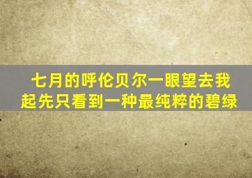 七月的呼伦贝尔一眼望去我起先只看到一种最纯粹的碧绿