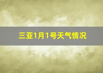 三亚1月1号天气情况