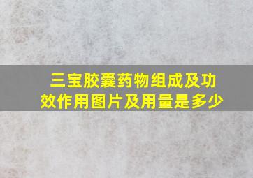 三宝胶囊药物组成及功效作用图片及用量是多少