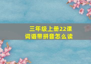 三年级上册22课词语带拼音怎么读