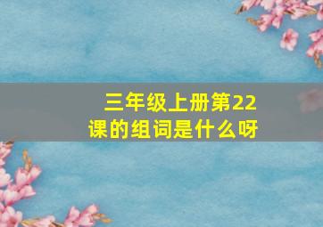 三年级上册第22课的组词是什么呀