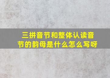 三拼音节和整体认读音节的韵母是什么怎么写呀