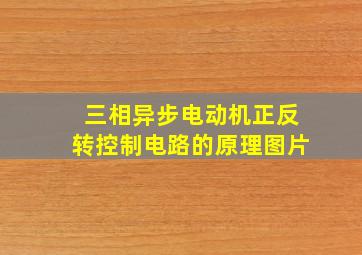 三相异步电动机正反转控制电路的原理图片