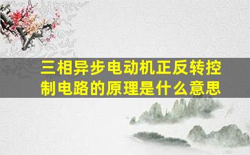 三相异步电动机正反转控制电路的原理是什么意思