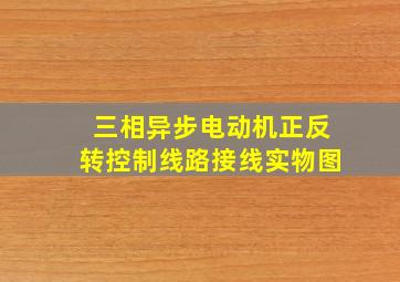 三相异步电动机正反转控制线路接线实物图