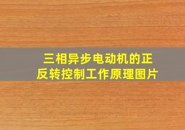 三相异步电动机的正反转控制工作原理图片