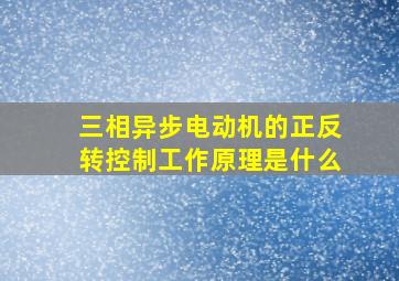 三相异步电动机的正反转控制工作原理是什么