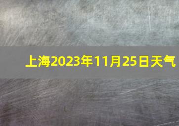 上海2023年11月25日天气