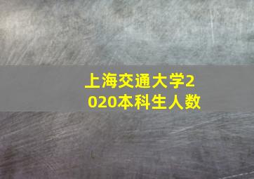 上海交通大学2020本科生人数