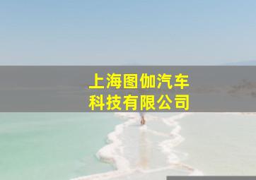 上海图伽汽车科技有限公司