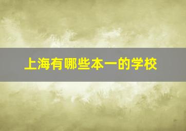 上海有哪些本一的学校