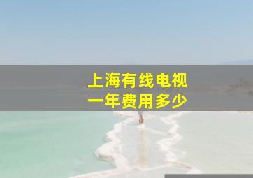 上海有线电视一年费用多少