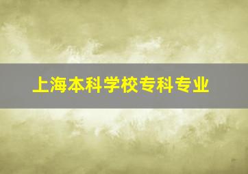 上海本科学校专科专业