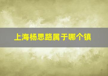 上海杨思路属于哪个镇