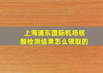 上海浦东国际机场核酸检测结果怎么领取的