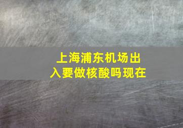 上海浦东机场出入要做核酸吗现在