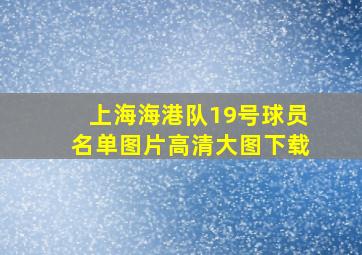 上海海港队19号球员名单图片高清大图下载