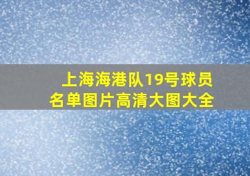 上海海港队19号球员名单图片高清大图大全