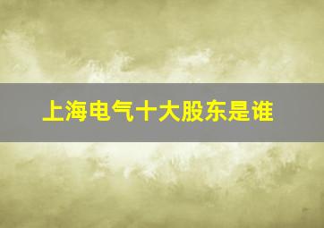 上海电气十大股东是谁