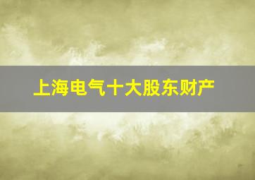 上海电气十大股东财产