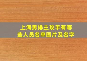 上海男排主攻手有哪些人员名单图片及名字