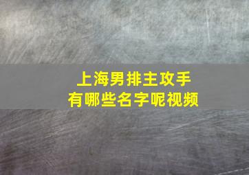 上海男排主攻手有哪些名字呢视频