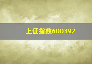 上证指数600392