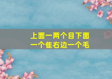 上面一两个目下面一个隹右边一个毛