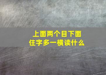 上面两个目下面住字多一横读什么