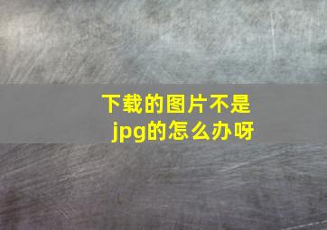 下载的图片不是jpg的怎么办呀