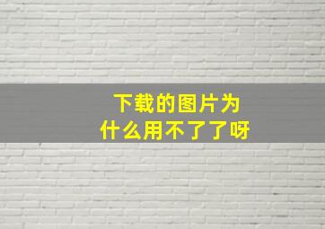 下载的图片为什么用不了了呀