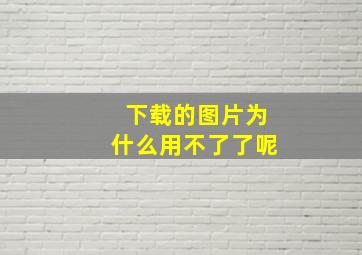 下载的图片为什么用不了了呢