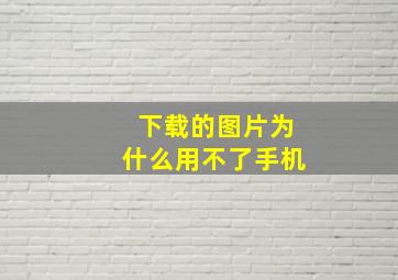 下载的图片为什么用不了手机