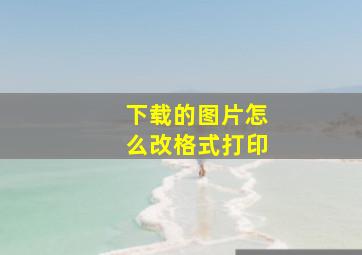 下载的图片怎么改格式打印